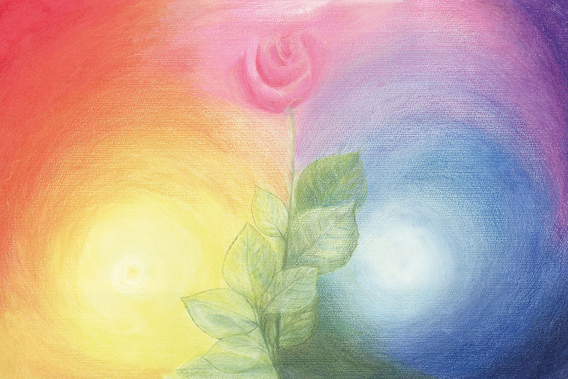 Acquerello: rosa nella luce dei colori